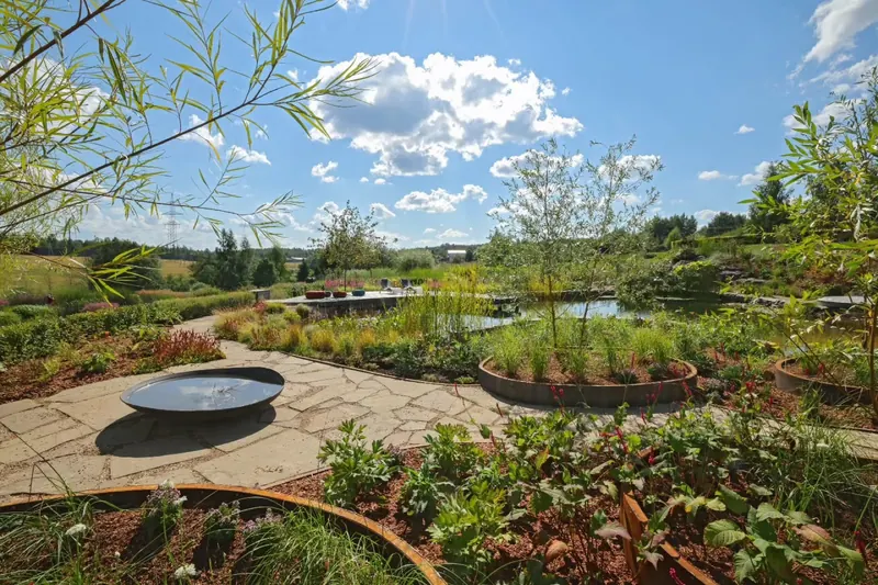 Naturalistic coastal planting detail