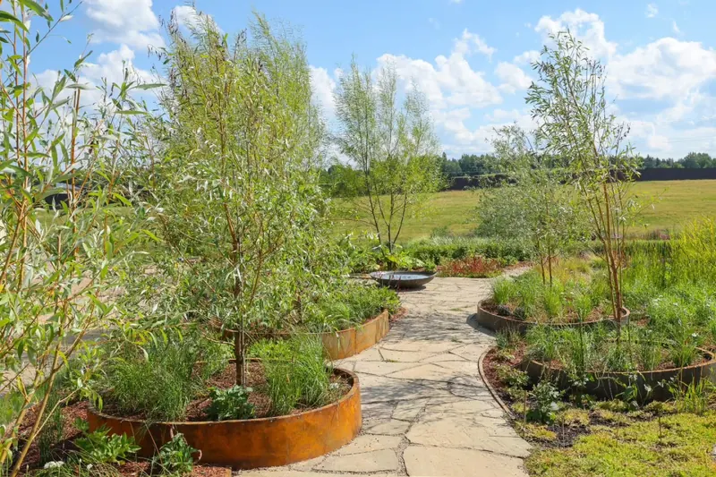 Coastal meadow planting in soft light