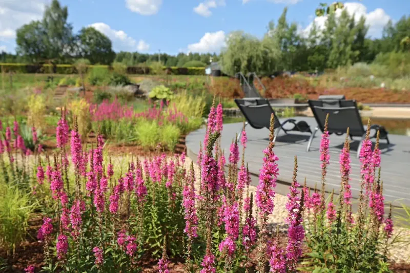 Textural coastal garden near a residence