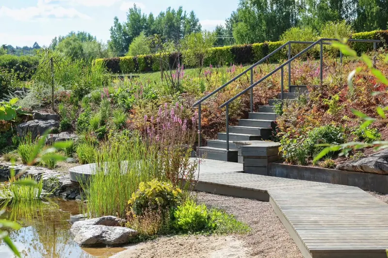Naturalistic grasses and coastal plants