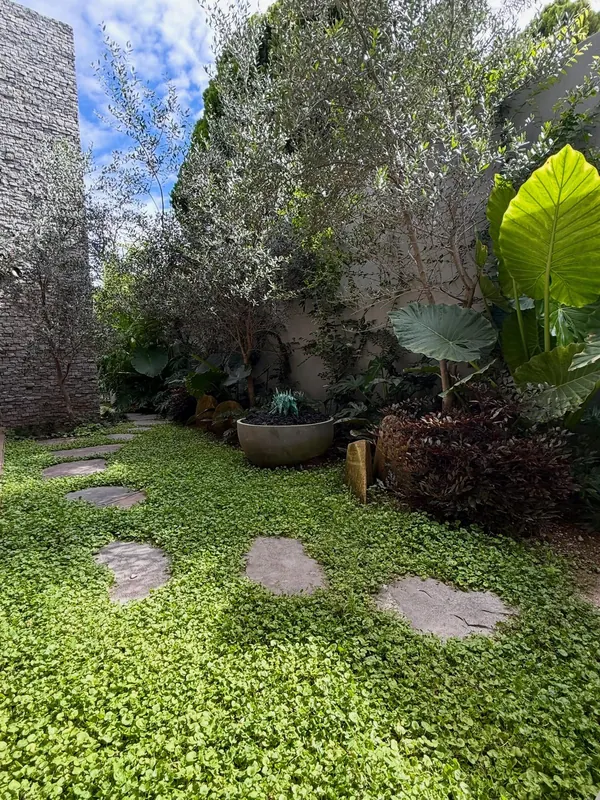 Lush planted courtyard with stepping stones