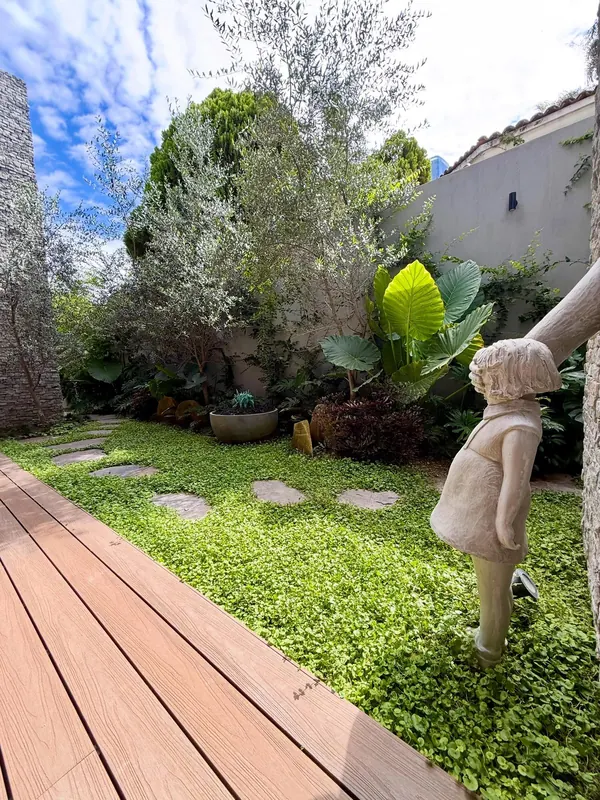 Dense courtyard planting around a modern home