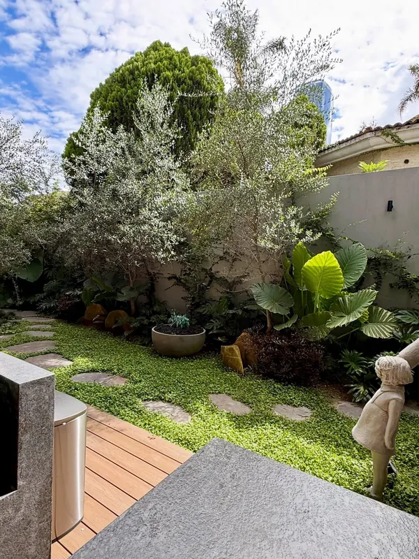 Olive trees and stone paving in an enclosed garden