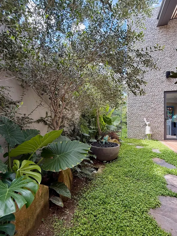 Stone walkway through lush courtyard planting