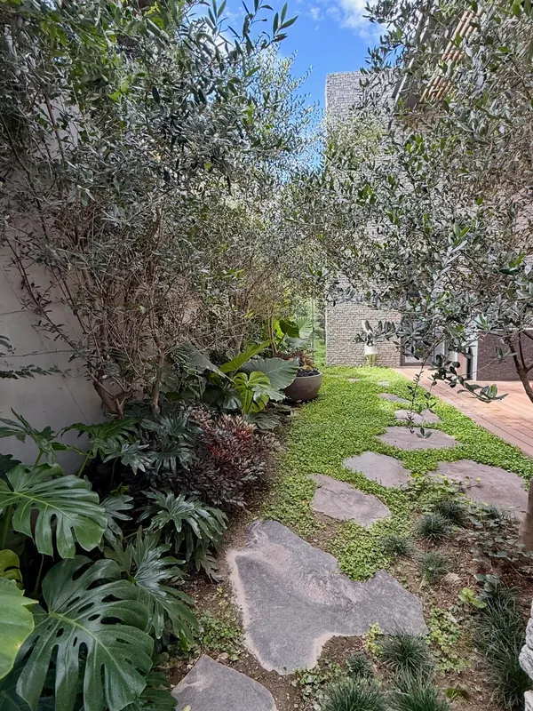 Sculptural foliage in an intimate courtyard