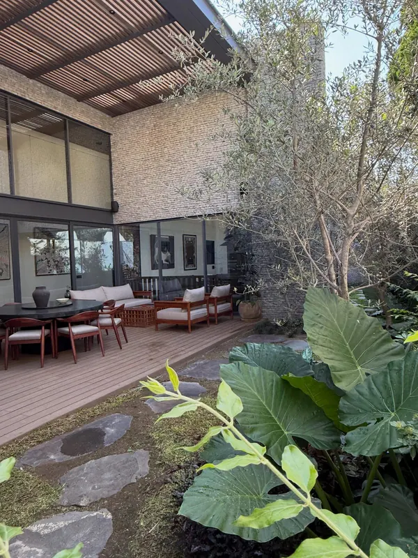Dense foliage and stone in an intimate courtyard