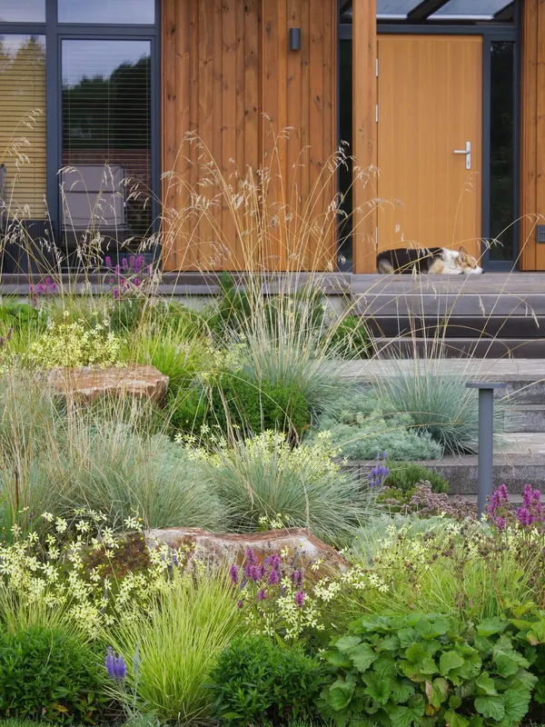 Modern landscape detail with grasses and stone