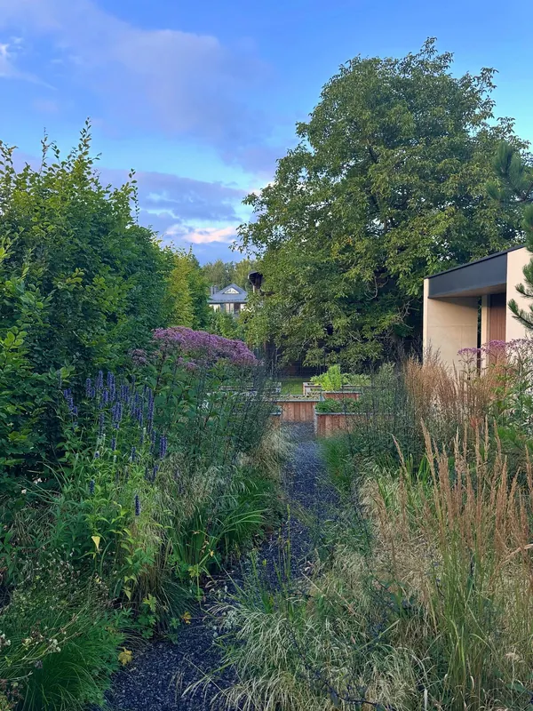 Modern garden path with ornamental grasses