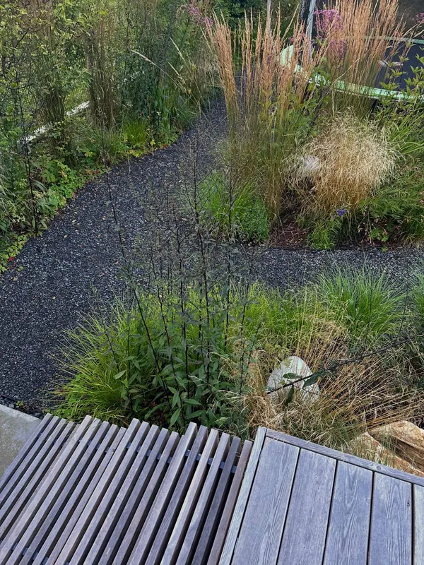 Minimal estate garden with textural grasses