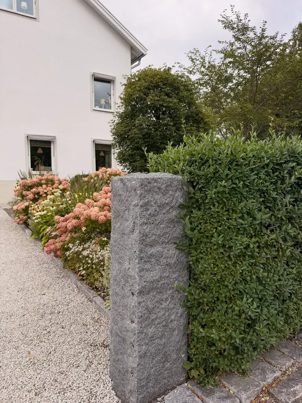 Perennial border and clipped hedge beside a home