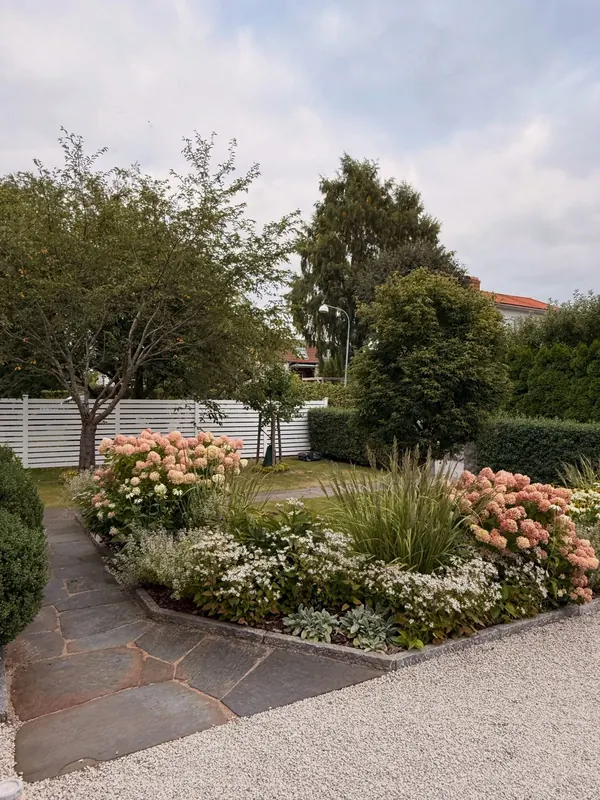 Flowering entry garden and clipped hedge