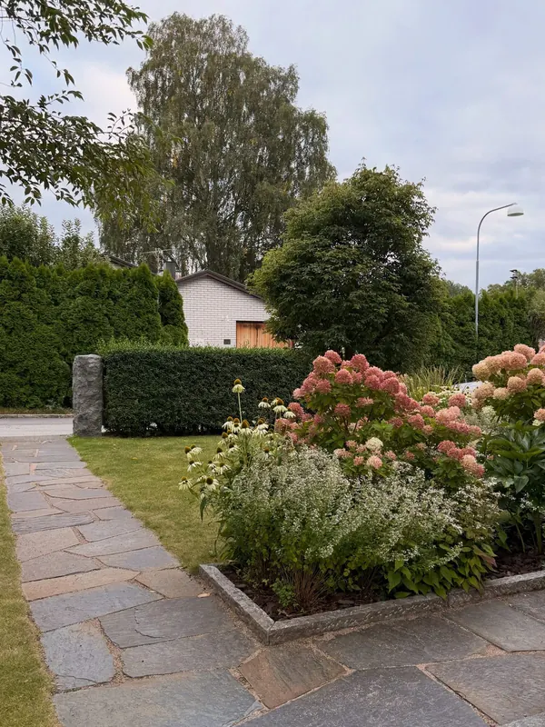 Perennial flowers lining a gravel garden path