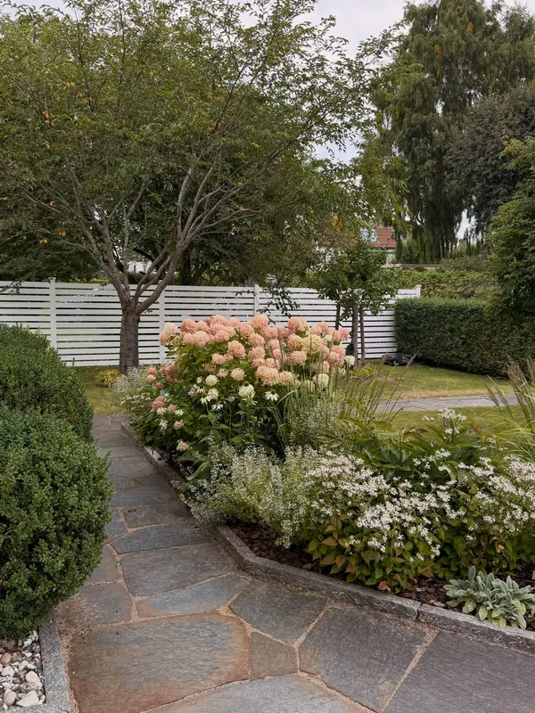 Layered green shrubs and perennial planting