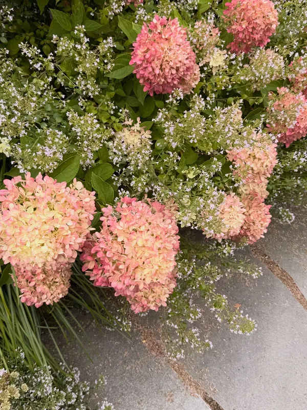 Layered residential entry garden